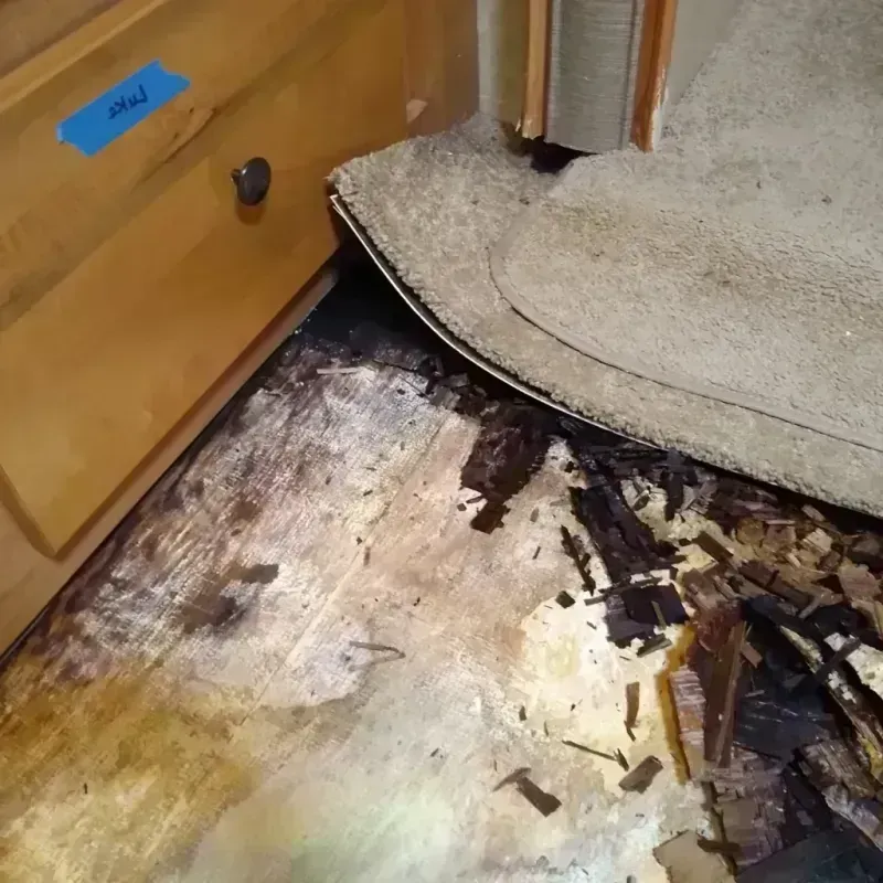 Wood Floor Water Damage in Dubuque, IA